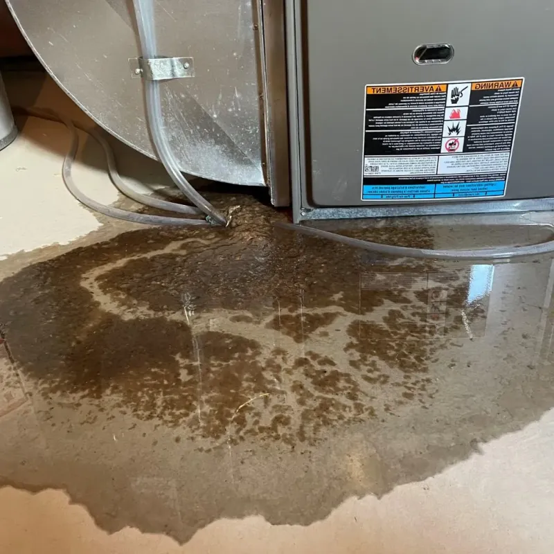 Pipe Burst and Leak Restoration in Stoddard County, MO